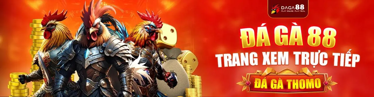 Sân đấu đá gà trực tuyến sôi động tại CPC3